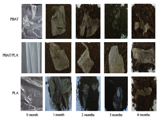 PBAT/PLA共混物生物降解塑料袋的降解过程(图2)