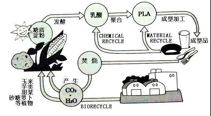 可生物降解环保塑料可以回收再利用吗？(图4)