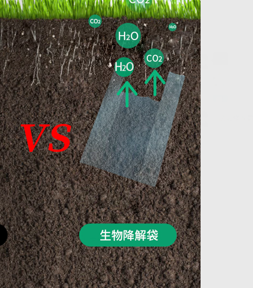 可生物降解环保塑料可以回收再利用吗？(图1)