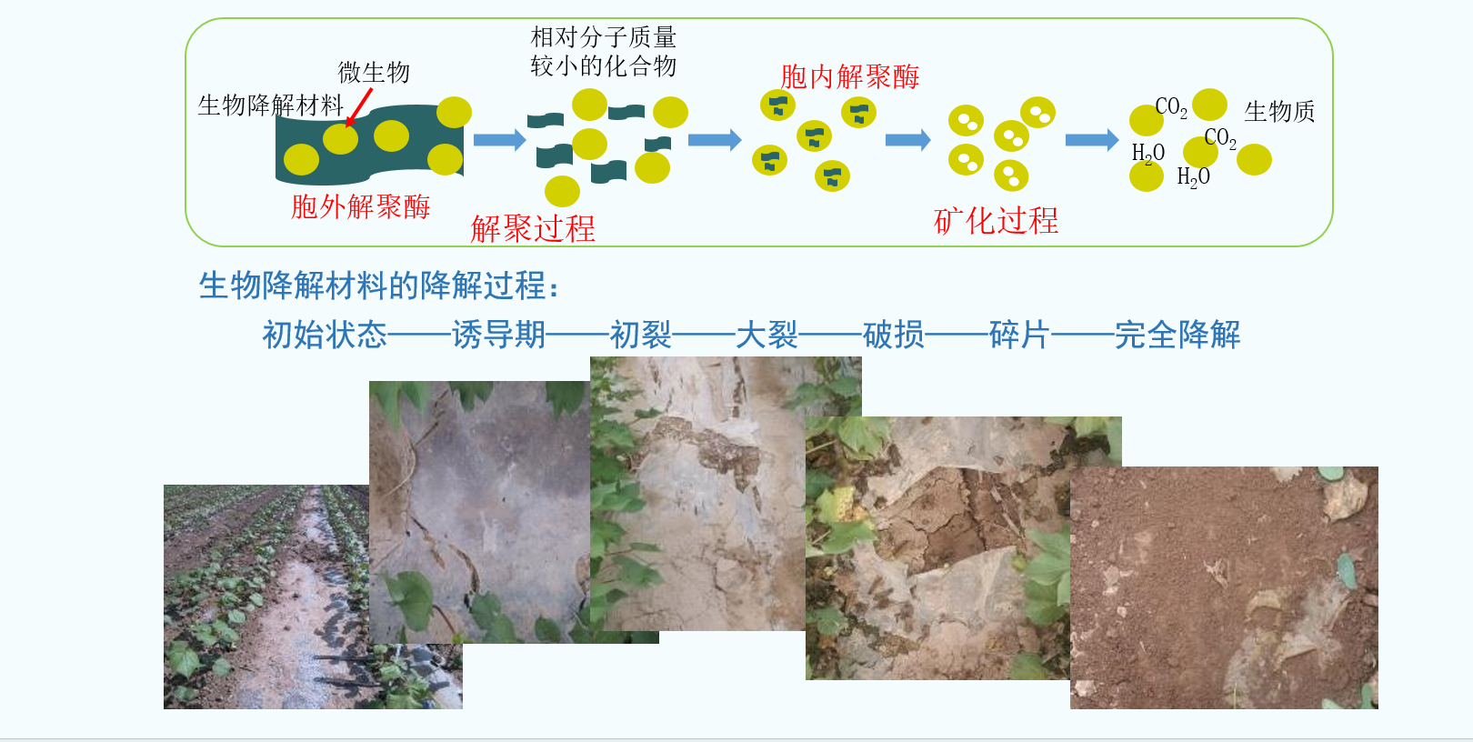 什么是完全生物降解袋材料(图1)